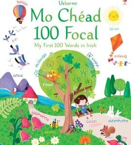 My first 100 words in Irish