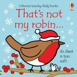 Usborne That’s Not My Robin