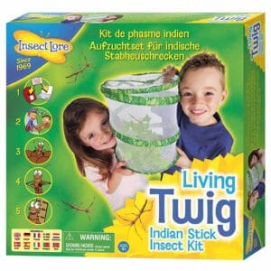 Insect Lore Living Twig Stick Insect Kit